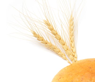 wheat and bread on a white background