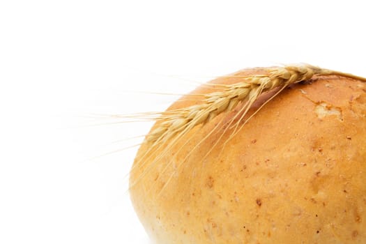 wheat and bread on a white background