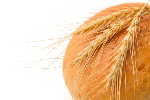 wheat and bread on a white background