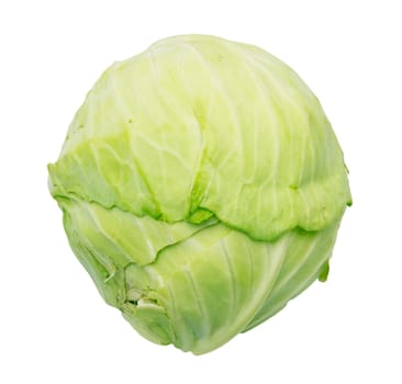 Single green cabbage with dew. Close-up. Isolated on white background. Studio photography. 