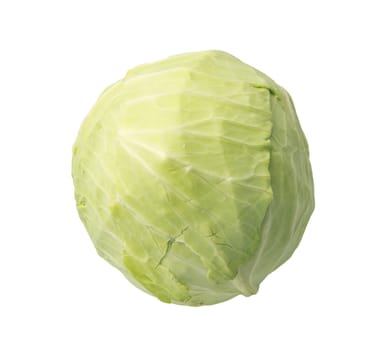 Single green cabbage with dew. Close-up. Isolated on white background. Studio photography. 