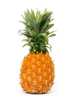 pineapple on white background