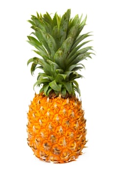 pineapple on white background