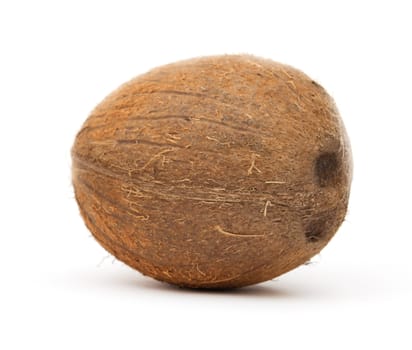 coconut on white background