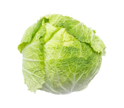 Chinese cabbage on white background 