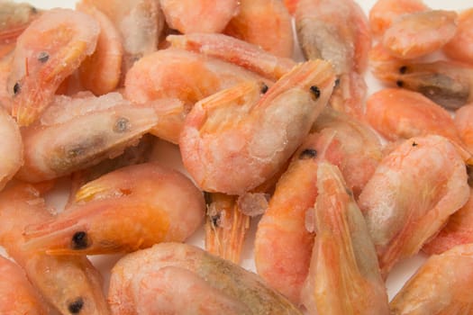 close up of frozen shrimps 