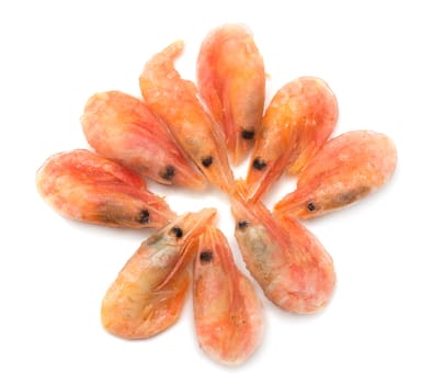 prawns on a white background