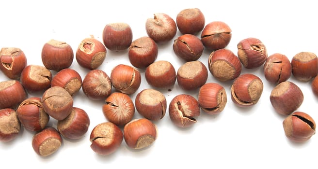 hazelnuts on a white background