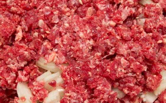 meat and onions in the background