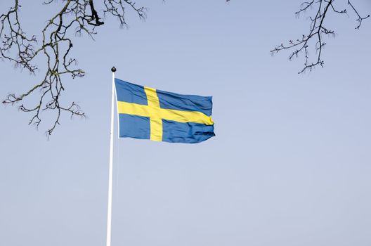 Swedish flag in the wind on front of a blue sky