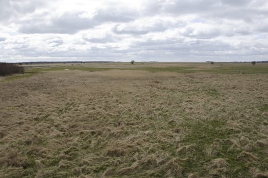 Wide field with grass and clouds in Scandinavia, Denmark