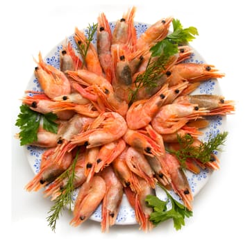 shrimp with parsley on a plate