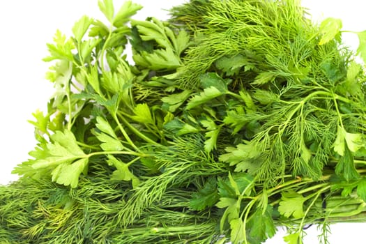 dill and parsley 