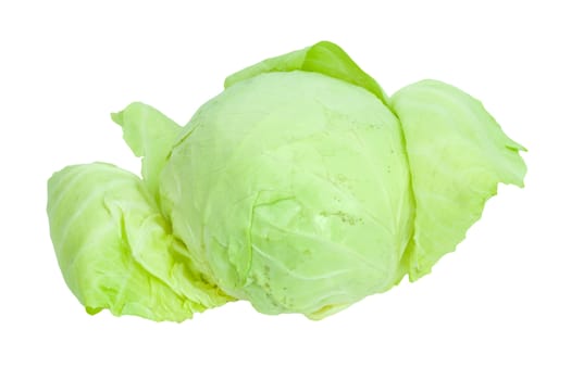 Green cabbage isolated on white background. 