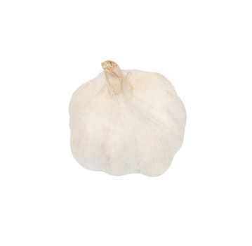 Garlic isolated on white background. 