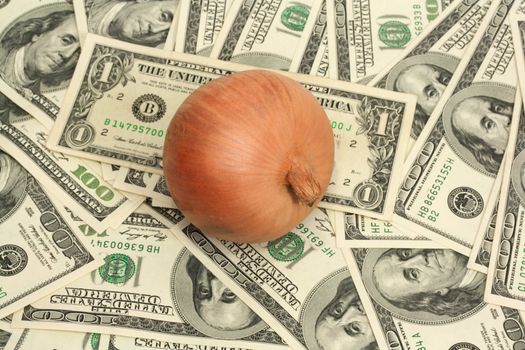 onion on background of the dollars