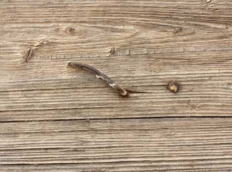 rusty nail in old wood, shallow focus 