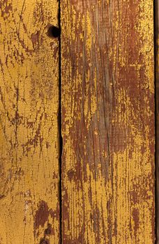 old wood texture (for background) 