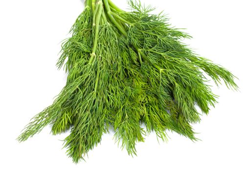 Bunch of ripe green dill isolated on white 