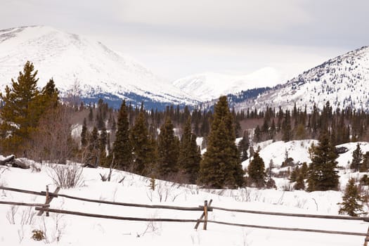 Snowy winter mountain landscape with ranch fence in boreal forest taiga of Yukon Territory Canada.