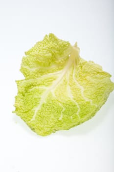 fresh savoy cabbage leaf as a texture 