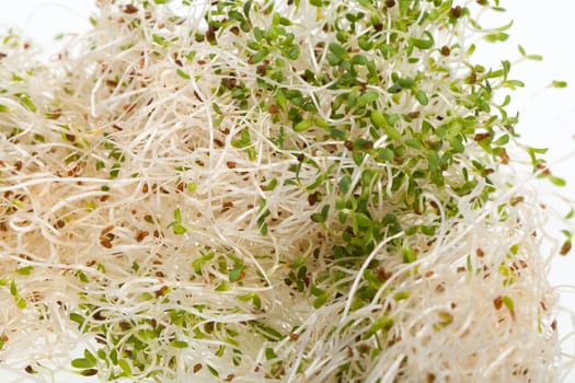 The healthy diet. Fresh sprouts isolated on white background 