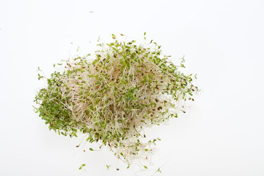 The healthy diet. Fresh sprouts isolated on white background 