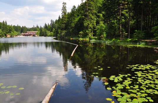 Lake Arber in Bavaria (Grosser Arbersee)