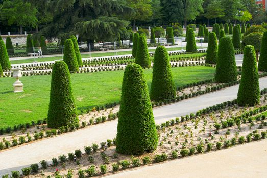 Saved natural parks in Europe trees and statues. Madrid