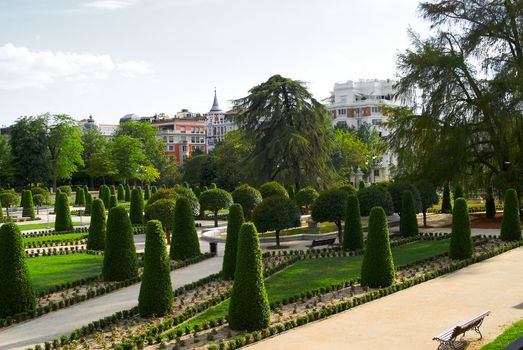 Saved natural parks in Europe trees and statues. Madrid