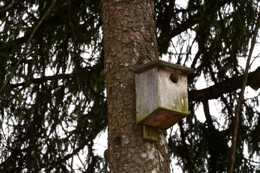 wooden Birds house on a tree