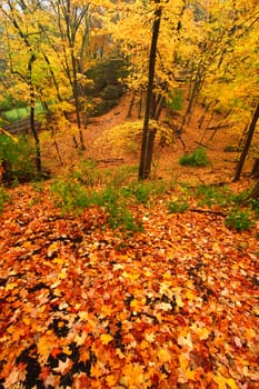 Beautiful autumn landscape at Rock Cut State Park in northern Illinois.