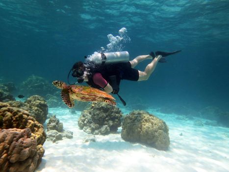 Young Man Scuba Diver between Water Surface near a turtle