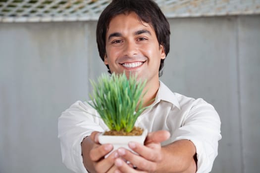 Portrait of cheerful young man holding small plant