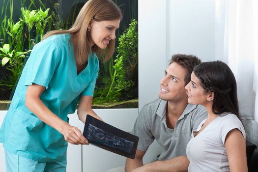 Female dentist showing dental x-ray to young couple in clinic