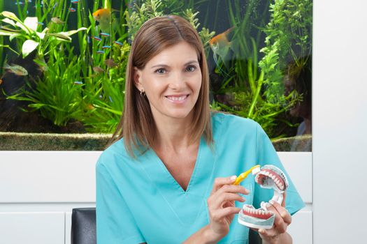Portrait of a happy female dentist brushing model teeth in clinic
