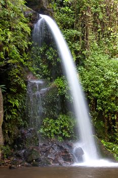 Monta waterfall creek nature of these en room tapioca root fresh tropical greenery.