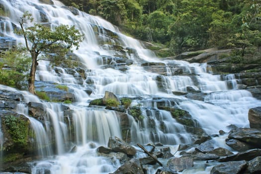 Beautiful waterfall from wild nature water creek forest.