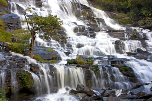 Mountain streams, waterfalls, forest green summer vacation.