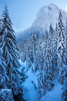 Snowy Ice Blue Stream Snow Mountain Cascade Mountains Snoqualme Pass Washington