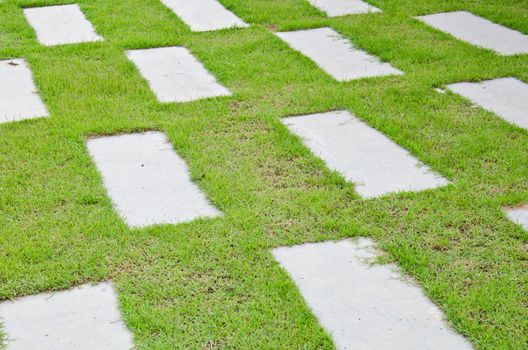 Walk path in the park with green grass background