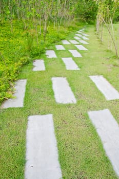 Walk path in the park with green grass background