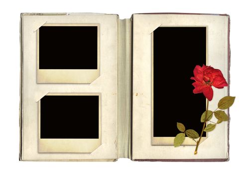 Photo album with retro photos and rose. Object isolated over white