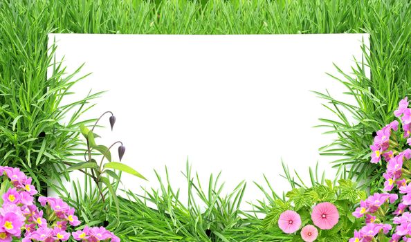 Green grass, flowers and white paper. Isolated over white