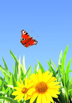 Summer flowers, green grass and butterfly