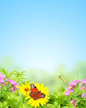 Summer frame with green leaves and flowers