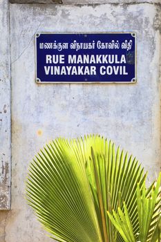 vertical take of a white on navy inky blue street sign in Pondicherry, tamil Nada, India, Rue Manakkula Vinayakar Covil Pondicherry on broken and stressed plaster wall decorated with a palm leaf decorated plant