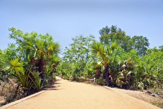 Generic horizontal landscape of a red gravel driveway lined with tropical plants at at curve in the road. A small bridge and edged by a bamboo railing. Shot location, Tamil Nada, India