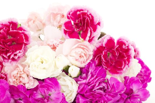 Beautiful bunch of dianthus caryphyllus