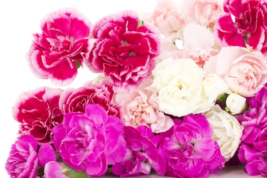 Beautiful bunch of dianthus caryphyllus